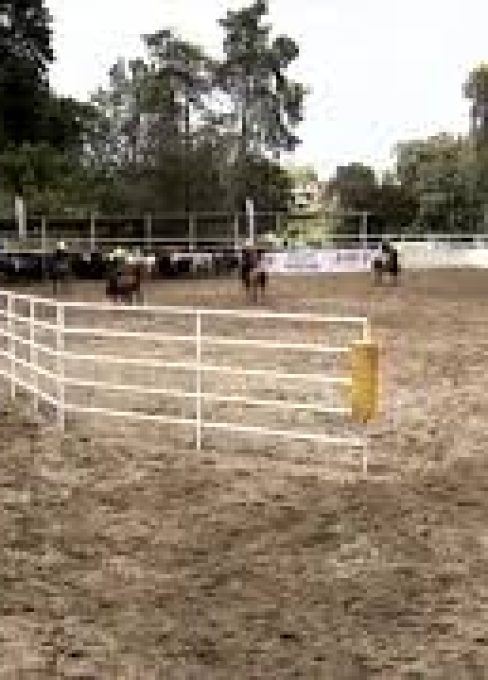 VALIDA NACIONAL DE TEAM PENNING COPA JHS
