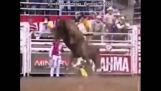 🇧🇷 Potra Malícia – Máquina de Pulos #rodeio #cutiano