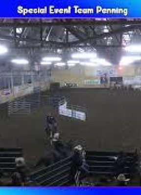 TEAM PENNING FIRST RACE SPECIAL EVENT – 5-FEB-2022