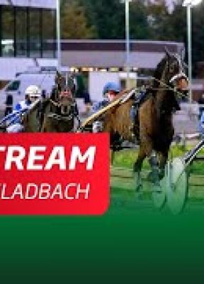 Livestream 06.09. Mönchengladbach