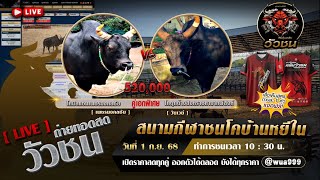 🛑LIVE!สด #สนามชนโคบ้านหยีใน วันที่ 1 กันยายน 2568 #ดูวัวชน #วัยรุ่นคลับวัวชน #วัวชนวันนี้