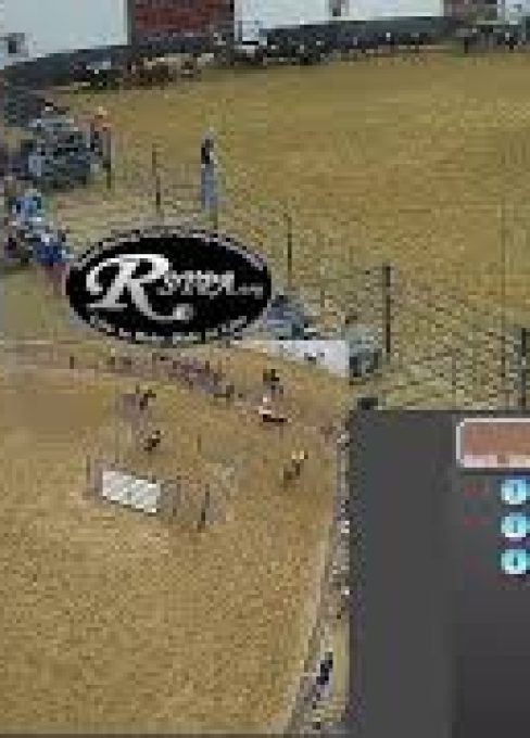 Youth Penning RSTPA 2021 National Finals Sunday 10-10