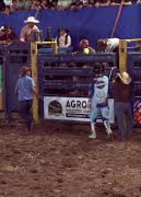 XX SEMANA RURALISTA DE NOVA IGUAÇU DE GOIAS