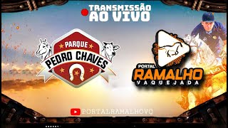 VAQUEJADA AO VIVO | PARQUE PEDRO CHAVES  | MARIZÓPOLIS | 2° DIA DE COMPETIÇÃO AO VIVO