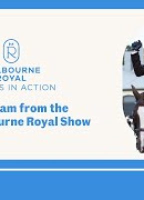 Horses in Action Competition | Melbourne Royal Show 2025 | Thursday, 2 October 2025