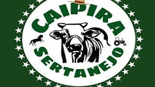 PBR Barretos 2021 – primeiro round ao vivo