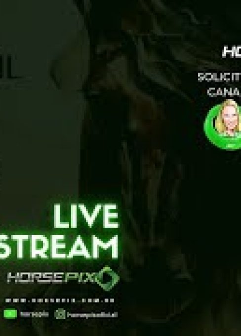 Grama  CSN4*  7º Top Riders, Copa Brasil, Finais Circuitos Amador, Juventude, Hermès YT – Horsepix