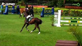 Pista LORD PILOT – CSN AGROMEN E CBS DE CAVALOS NOVOS – 2023 — Horsepix