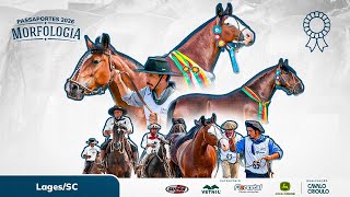 PASSAPORTE PRIMAVERA 2026 | LAGES/SC | GRANDES CAMPEONATOS MACHOS E FÊMEAS | 11/10 | TARDE