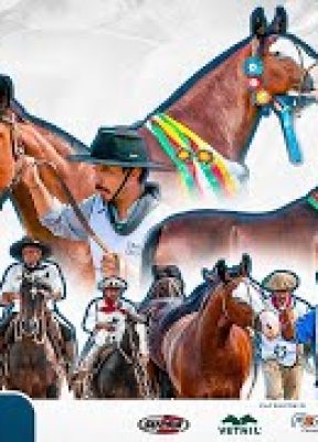 PASSAPORTE PRIMAVERA 2026 | LAGES/SC | CAMPEONATO FÊMEAS E MACHOS | 11/10 | MANHÃ