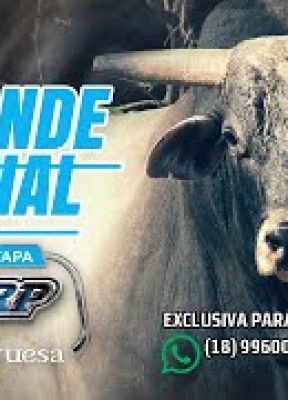 GRANDE FINAL 3ª Etapa CRP Burguesa 2021 (Quinta)