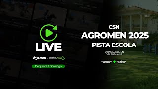 PISTA ESCOLA – TAÇA FPH MYSTIC ROSE INICIANTE – CSN AGROMEN 2025 – Horsepix