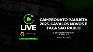 CAMPEONATO PAULISTA 2025, CAVALOS NOVOS E TAÇA SÃO PAULO  – Horsepix