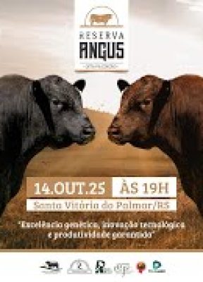 Reserva Angus – 8ª Edição  / Transmissão TV EL Campo