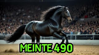 Friesian Horse Meinte 490