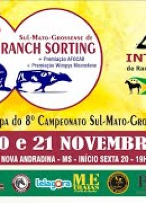 Potro do Futuro e 8º Campeonato Sul-Matogrossense de Ranch Shorting  – Nova Andradina-MS