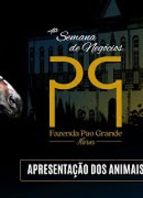 Live de Apresentação dos Animais – 4ª Semana de Negócios Fazenda Pao Grande