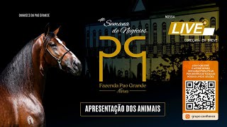 Live de Apresentação dos Animais – 4ª Semana de Negócios Fazenda Pao Grande