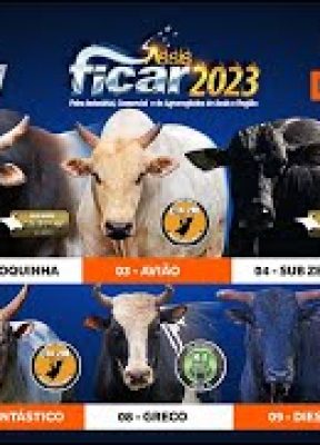 RODEIO AO VIVO – FICAR de Assis 2023 / FINAL DA COPA SUMETAL (S0RTEI0 / Round 5)