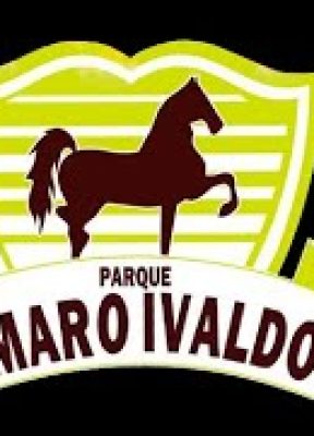 X1 DE VAQUEJADA PARQUE AMARO IVALDO