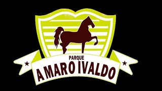 X1 DE VAQUEJADA PARQUE AMARO IVALDO