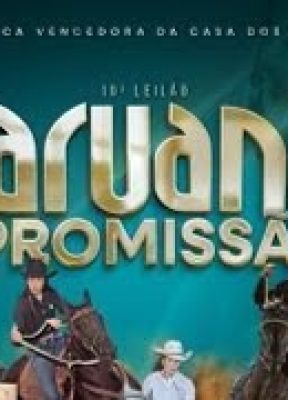 APRESENTAÇÃO / 19º LEILÃO CARUANA & PROMISSÃO – ARAÇATUBA/SP – RURALPLAY