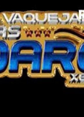 VAQUEJADA HARAS SOARES – XERÉM – RJ