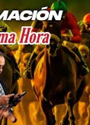 🤯🏇AMANECER HÍPICO 🤯 🏇  #domingo 06 de #abril #Larinconada #5y6 ##caballos #hipismo