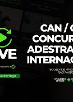 PISTA 1 – CAN / CDI3* – CONCURSO DE ADESTRAMENTO INTERNACIONAL – Horsepix