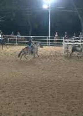 ENCERRONA DE TEAM PENNING PRACTICA