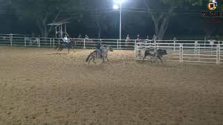 ENCERRONA DE TEAM PENNING PRACTICA