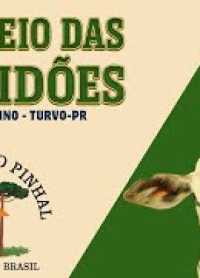 31º RODEIO DAS MULTIDÕES – TURVO-PR