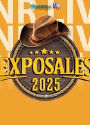 ExpoSales – 19/10