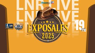 ExpoSales – 19/10