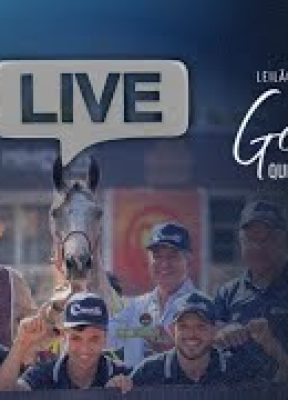 Live Haras Bavaria