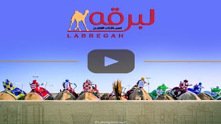 البث المباشر.. لـ منافسات الحيل والزمول العامة (السباق المحلي الثالث) ميدان الشحانية 20-10-2025